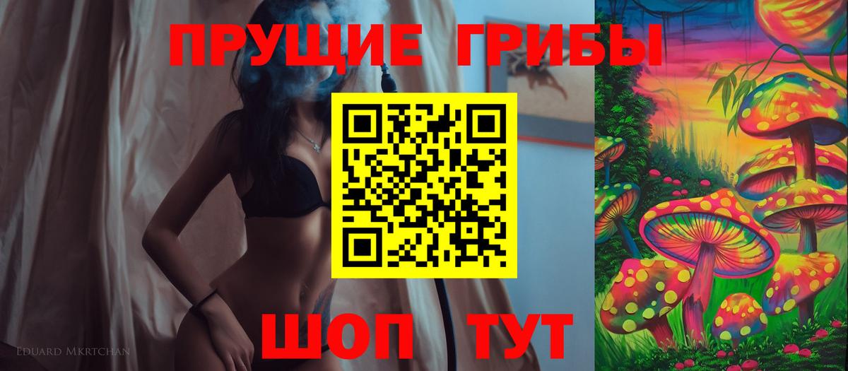 Псилоцибиновые грибы Psilocybe Снежинск