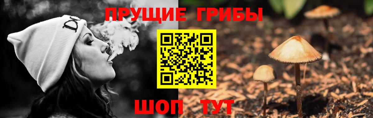 Галлюциногенные грибы MAGIC MUSHROOMS  Галлюциногенные грибы мухоморы  Вход с VPN  Снежинск 